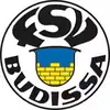 巴迪莎