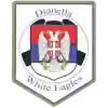 迪亚内拉白鹰U23